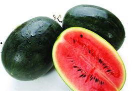 911爆料网吃瓜黑料蘑菇,吃瓜黑料蘑菇背后的真相