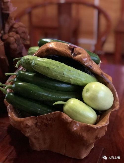 成县的吃瓜网红,带你领略地方美食风情