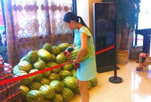 网暴吃瓜群众动画片,揭秘“吃瓜群众”背后的动画故事